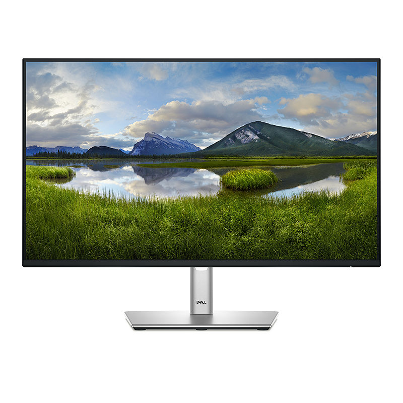 DELL Pro Plus P2425H computer monitor