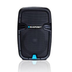 Blaupunkt Profesional System