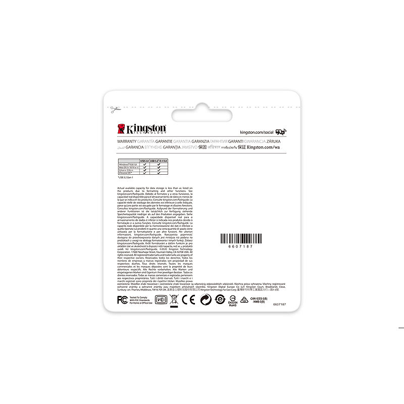 Kingston Technology DataTraveler 256 GB Kyson USB Flash-drev - Billede 5
