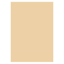 Karton A4 170 Gram Beige 10 Ark