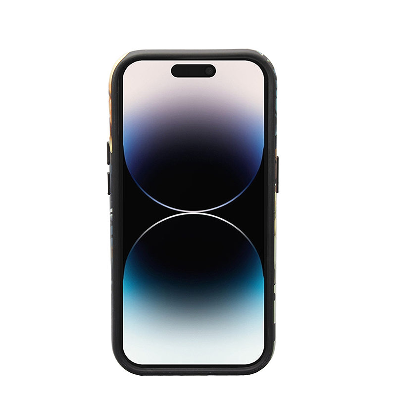 Decor case for Samsung Galaxy S24 Plus Spring