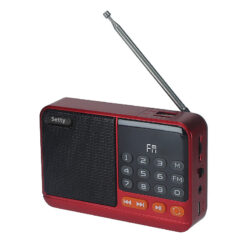 Alternative view of Setty mini FM radio + Bluetooth speaker SFM-01M