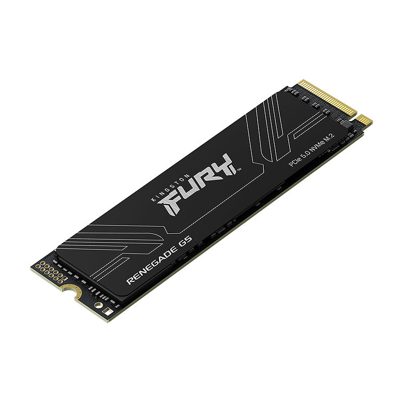 Kingston Technology 1T FURY RENEGADE G5 M.2 2280 NVMe SSD - Billede 3